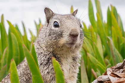 星座月份表射手男,十二星座最全解析
