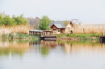 几号出生的双鱼座最厉害,双鱼座怎么跟精神病一样