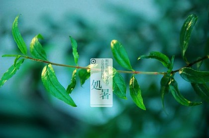 生辰八字对应五行属性对照表,五行八字推算表