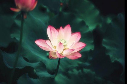 双子座的性格特点视频,12星座性格特点