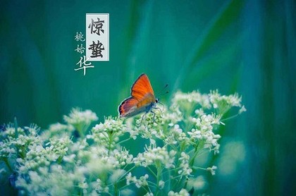 水瓶座男缺点和优点,水瓶座性格优势及弱点