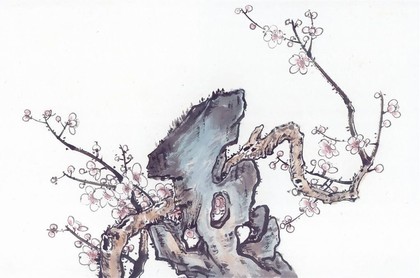 天蝎座是多少月的,1～12月星座