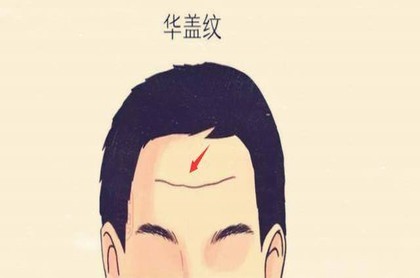 龙珠中的占卜婆婆,七龙珠最强之战占卜婆婆