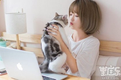今日运势财神位置,麻将今日运势占卜