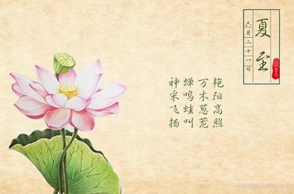 给男人带来财运的女人,靠男人发财的女命八字