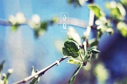 五行属性为中性的字,金木水火土都不缺怎么取名