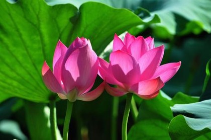 山水蒙六爻吉凶,山水蒙卦详解吉凶