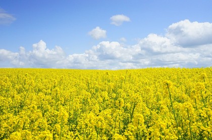 择日出行吉日,2023年9月出行黄道吉日查询