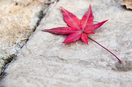 周易第十一卦详解,周易64卦图文详解