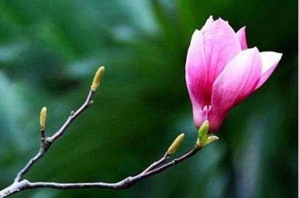 道士算命可信吗,怎样算命最准又简单