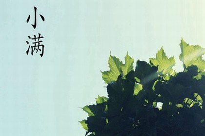 塔罗牌情感战车逆位,塔罗牌占卜爱情战车逆位