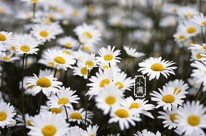 缘分百分百网站是真的吗,缘分百分百聊天要钱