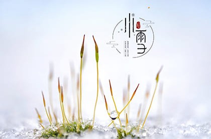星座配对婚姻是不是真的,十二星座的最佳配对表