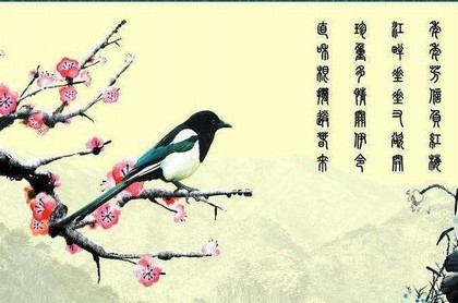八字土旺缺金为什么忌水多,八字中无火能富贵吗
