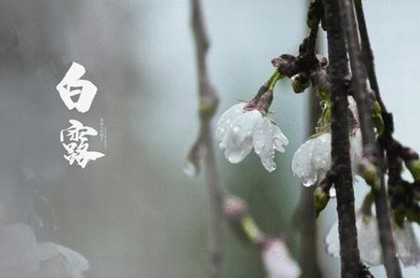 今天金牛座运势入何,狮子座今日运势