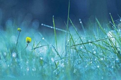 怎么样旺桃花运,旺桃花运的风水布局方法