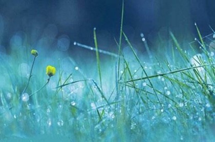 怎么样旺桃花运,旺桃花运的风水布局方法