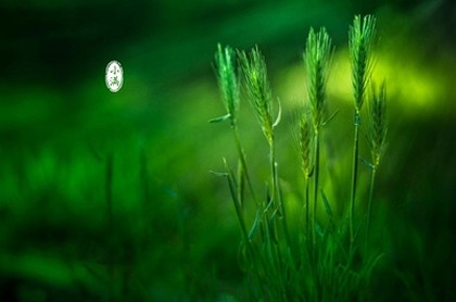 怎么区分农历生日和阳历生日,日历上哪个是农历哪个是阴历