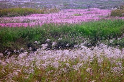 如何改风水,怎样改变家里风水旺家
