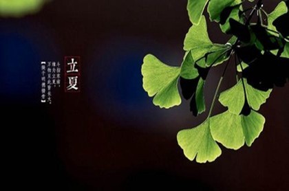 属蛇的明天出门好不好,2023年生肖蛇下半年运势