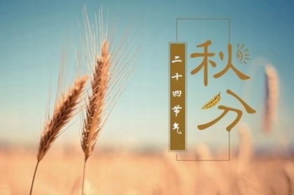摩羯男日期,金牛座出生日期