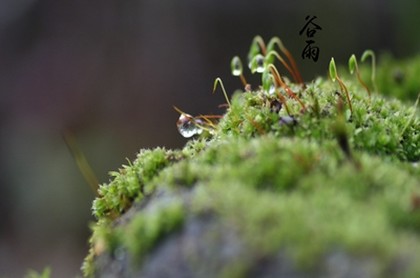 冥王星对应星座,冥王星星座天蝎座
