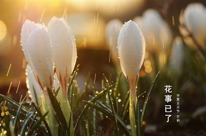 2023年的天蝎座事业运势,双鱼座2023年运势