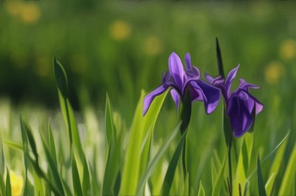 入宅吉日一览表,万年历黄道吉日
