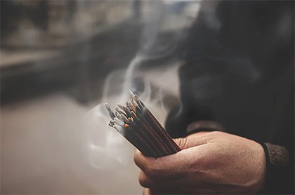 鳄鱼为什么不敢吃狮子,鳄鱼为什么不攻击狮子
