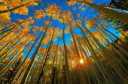 家里放磁铁风水好不好,家里风水聚财最快10种方法