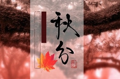 算命说的带正孝是什么,八字披麻戴孝查询