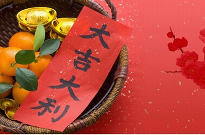 2023年狮子座的全年运势,2023年狮子座彻底大爆发