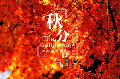 免费测算今天的运势,算命免费2023年运程