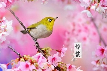 命里水多的男人,八字金多水多的男人