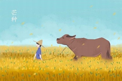 牛年的命运,属牛人在牛年的运势怎么样