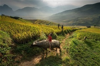 本命年是生肖年吗,2023年本命年是什么生肖