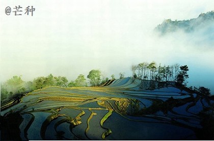 白羊座性格脾气极端,摩羯座的性格