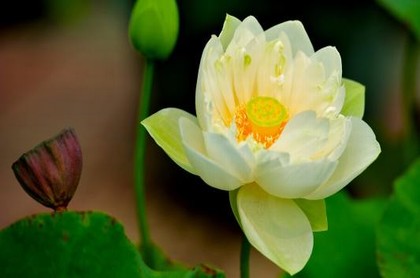 日月轮回周期,经济轮回周期