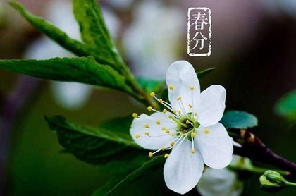 九月的星座和七月的星座,七月份是什么星座