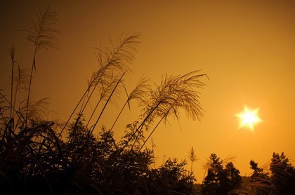 十三星座运势,非常运势网