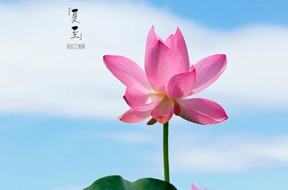 属相婚配测试夫妻,属相婚配表大全图