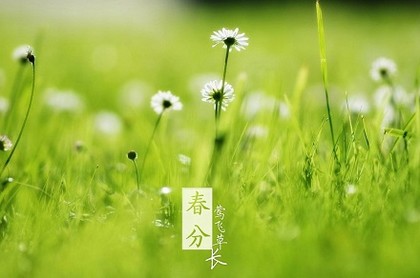 塔罗牌灵摆是什么,塔罗牌那些属于高灵牌