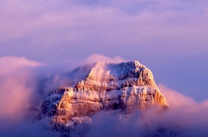 查看星座是按农历还是阳历,星座为什么按阳历算