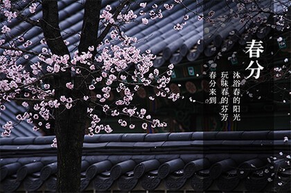 农历11月23什么星座,11月23日是什么星座