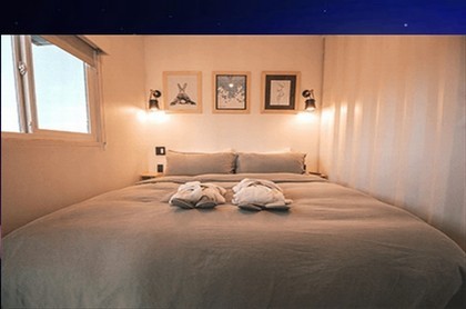 1986年属虎女2023年运势完整版,1986属虎人2023年运势