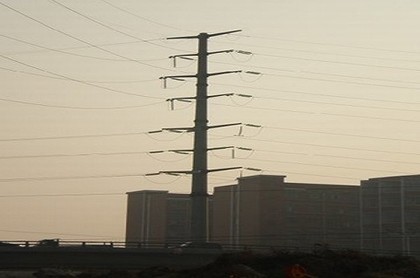 金牛座整年运势,属虎金牛座2023年运势及运程