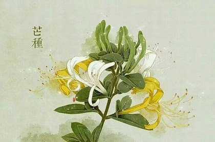 紫微斗数宁雪天秘断,紫微斗数排盘免费详批
