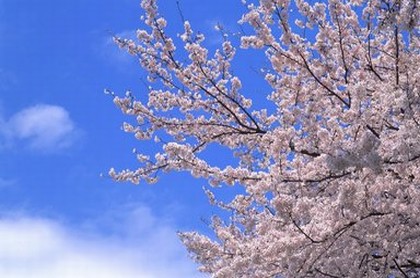 风水上讲养泥鳅好不好,按照风水学来说家里养泥鳅好不好