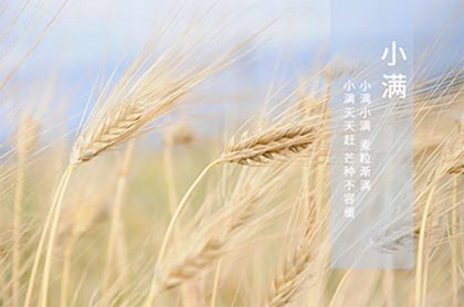 金牛座的生肖是什么,哪个生肖的金牛座厉害