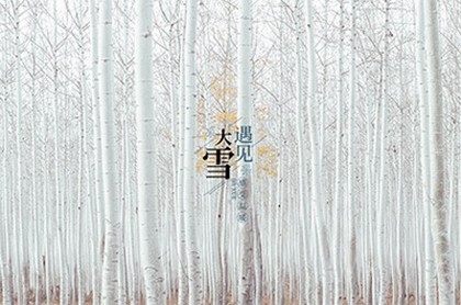 十二星座是按公历还是阳历算,查星座是按阴历还是阳历